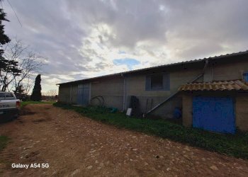 Terreno - Terreno agricolo Strada Regionale Maremmana, Manciano - foto 16