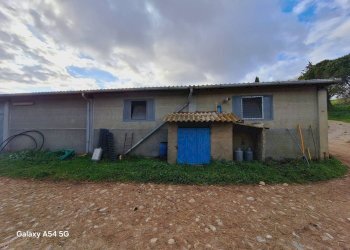 Terreno - Terreno agricolo Strada Regionale Maremmana, Manciano - foto 19