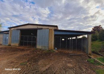 Terreno - Terreno agricolo Strada Regionale Maremmana, Manciano - foto 20