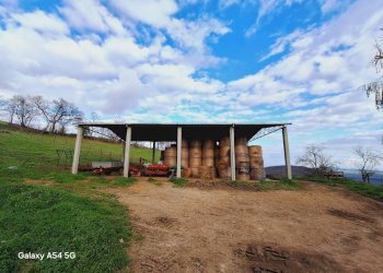 Terreno - Terreno agricolo Strada Regionale Maremmana, Manciano - foto 21