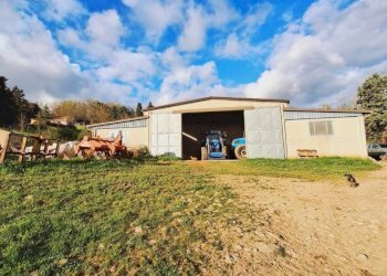Terreno - Terreno agricolo Strada Regionale Maremmana, Manciano - foto 22