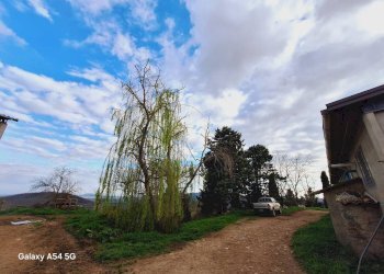Terreno - Terreno agricolo Strada Regionale Maremmana, Manciano - foto 26