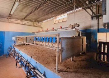 Interno non residenziale - Terreno agricolo Strada Regionale Maremmana, Manciano - foto 30