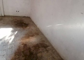 Cantina - Box Via San Donato 160/3, Bologna (zona San Donato) - foto 5