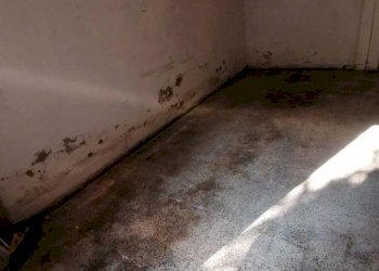 Stanza non arredata - Box Via San Donato 160/3, Bologna (zona San Donato) - foto 6