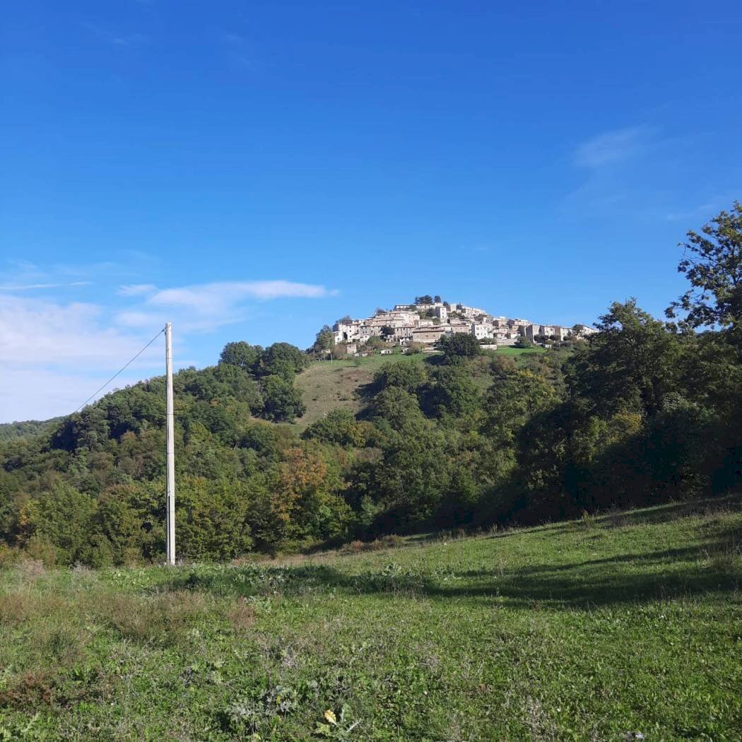 Terreno agricolo Strada Provinciale per Rocchette, Semproniano - foto 3