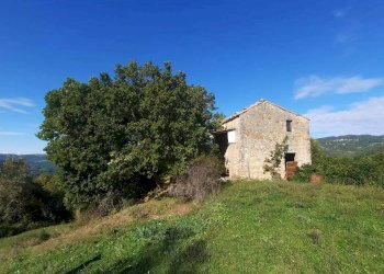 Terreno agricolo Strada Provinciale per Rocchette, Semproniano - foto 2