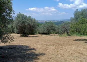 Terreno agricolo Strada Vicinale Saturnia Poggio Capanne, Manciano - foto 3