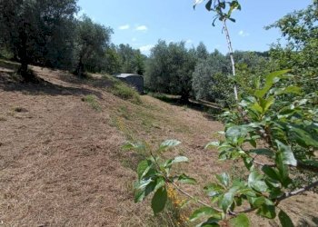 Terreno agricolo Strada Vicinale Saturnia Poggio Capanne, Manciano - foto 22