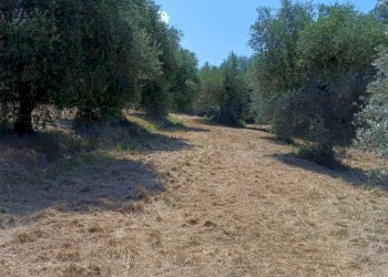 Terreno agricolo Strada Vicinale Saturnia Poggio Capanne, Manciano - foto 25