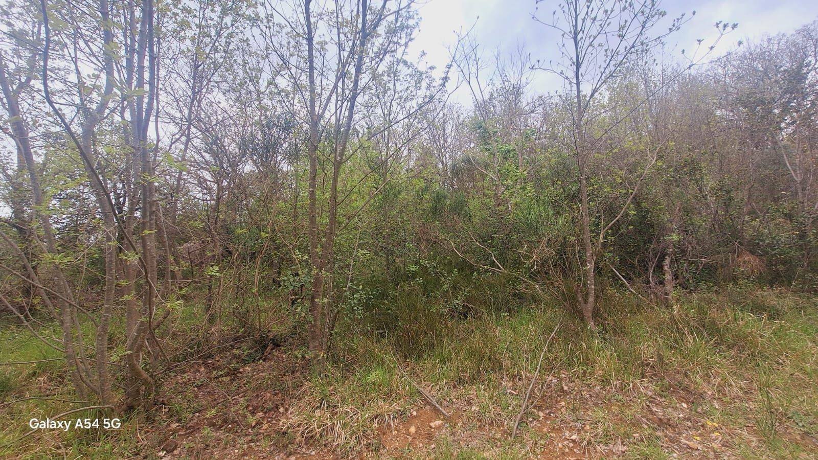 Terreno - Deposito Strada Provinciale di Fibbianello, Semproniano - foto 2