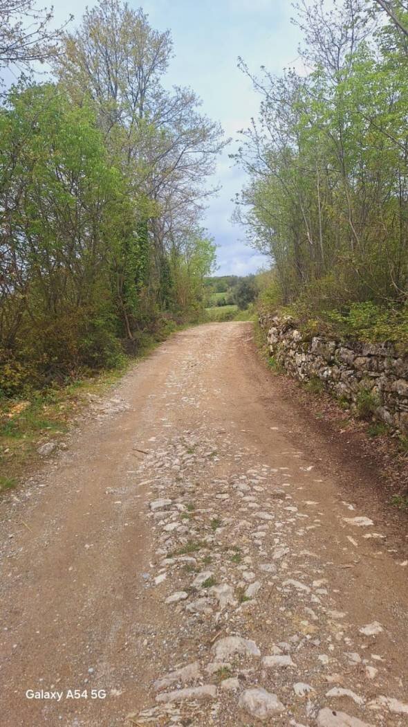 Terreno - Deposito Strada Provinciale di Fibbianello, Semproniano - foto 3