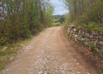 Terreno - Deposito Strada Provinciale di Fibbianello, Semproniano - foto 3