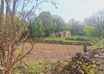 Terreno - Deposito Strada Provinciale di Fibbianello, Semproniano - foto 4