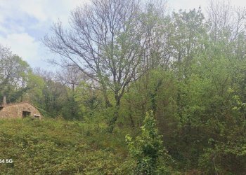Terreno - Deposito Strada Provinciale di Fibbianello, Semproniano - foto 6