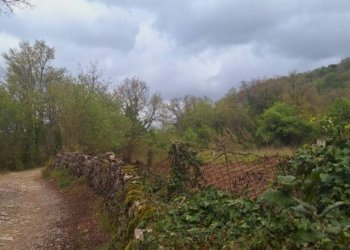 Terreno - Deposito Strada Provinciale di Fibbianello, Semproniano - foto 9