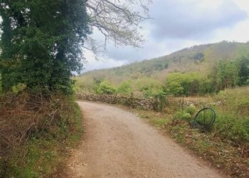 Terreno - Deposito Strada Provinciale di Fibbianello, Semproniano - foto 12