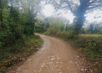 Terreno - Deposito Strada Provinciale di Fibbianello, Semproniano - foto 13