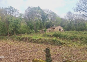 Terreno - Deposito Strada Provinciale di Fibbianello, Semproniano - foto 17