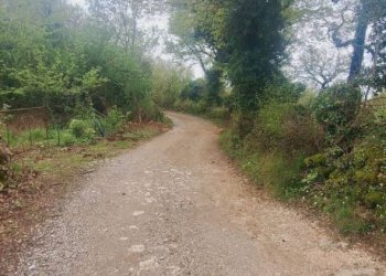 Terreno - Deposito Strada Provinciale di Fibbianello, Semproniano - foto 18