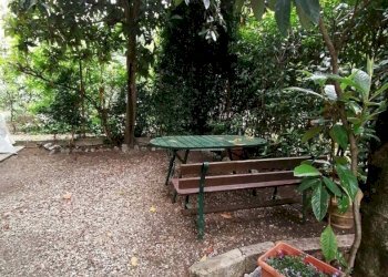 Giardino - Villa Via Alessandro Antonelli 1, Bologna (neighborhood San Ruffillo) - photo 7