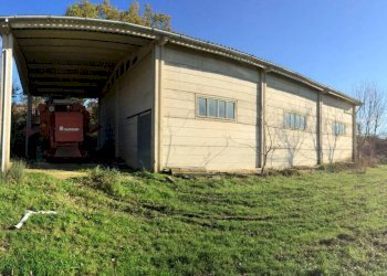 Terreno - Townhouse Strada Provinciale Sovana, Semproniano - photo 1