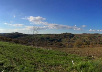 Terreno - Townhouse Strada Provinciale Sovana, Semproniano - photo 2