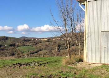 Terreno - Townhouse Strada Provinciale Sovana, Semproniano - photo 4