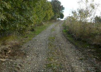 Terreno - Townhouse Strada Provinciale Sovana, Semproniano - photo 6