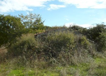 Terreno - Townhouse Strada Provinciale Sovana, Semproniano - photo 7