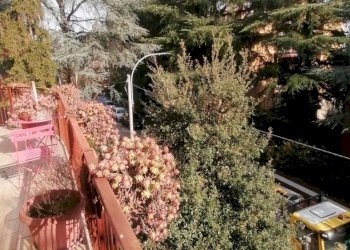 Terrazzo - Trilocale Via Domenico Cimarosa 11, Bologna (zona San Ruffillo) - foto 10