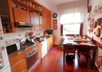 Cucina - Trilocale Via Domenico Cimarosa 11, Bologna (zona San Ruffillo) - foto 14