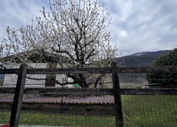 Three-room apartment Frazione Saint Maurice, 141, Sarre - photo 4