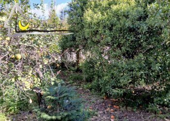 Independent house Via delle Pantanelle 1, 04019 Sabaudia, Terracina - photo 12