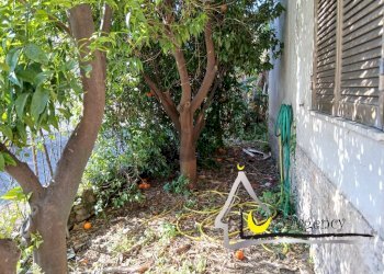 Independent house Via delle Pantanelle 1, 04019 Sabaudia, Terracina - photo 14