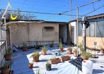 Independent house Via delle Pantanelle 1, 04019 Sabaudia, Terracina - photo 43