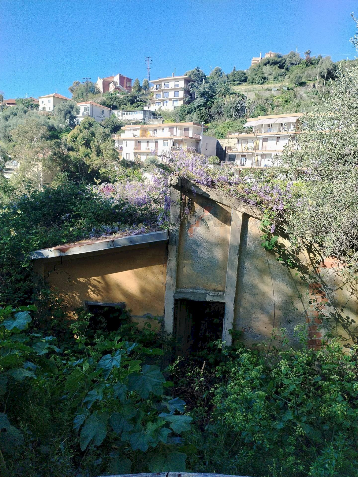 Rustico strada castelletti
Bussana, Sanremo, Sanremo - foto 2