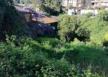 Rustic strada castelletti 
 Bussana, Sanremo, Sanremo - photo 4