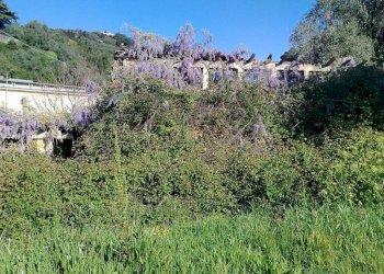 Rustic strada castelletti 
 Bussana, Sanremo, Sanremo - photo 5