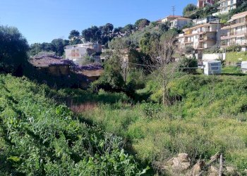 Rustic strada castelletti 
 Bussana, Sanremo, Sanremo - photo 7