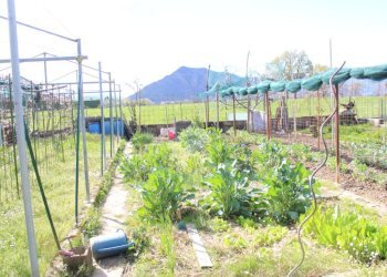 Four-room apartment Via cervino, Pianezza - photo 23