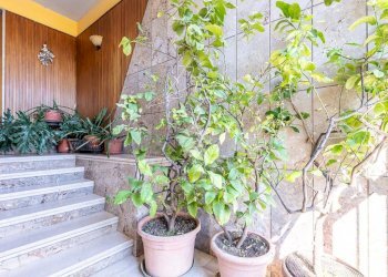 Appartamento Via sestriere, Collegno - foto 26