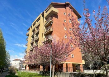 Trilocale Via Quintino Sella, Collegno - foto 22