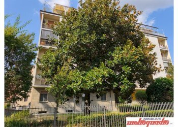 Trilocale Bologna (zona Barca) - foto 2