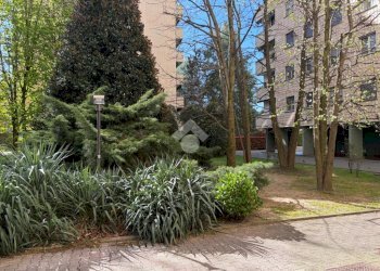 Bilocale Via Giulio Natta, Milano (zona Gallaratese) - foto 4