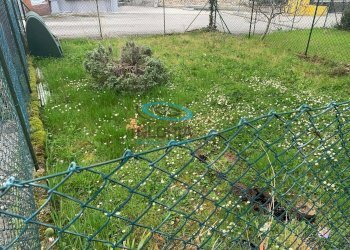 Foto 9 - Independent house Fabriano - photo 9