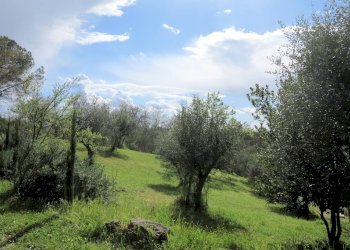 Foto 2 - Rustic Strada Vicinale delle Banditelle, Civitella Paganico - photo 2