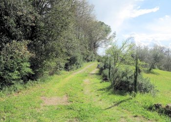 Foto 5 - Rustic Strada Vicinale delle Banditelle, Civitella Paganico - photo 5