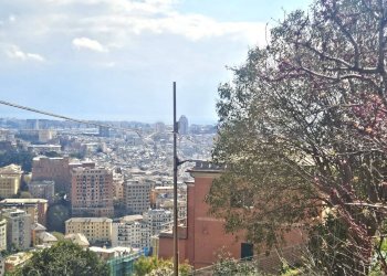 Foto 9 - Appartamento Salita Di Granarolo, Genova - foto 9