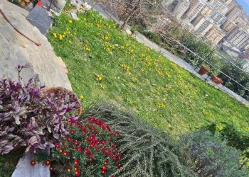 Foto 16 - Appartamento Salita Di Granarolo, Genova - foto 16